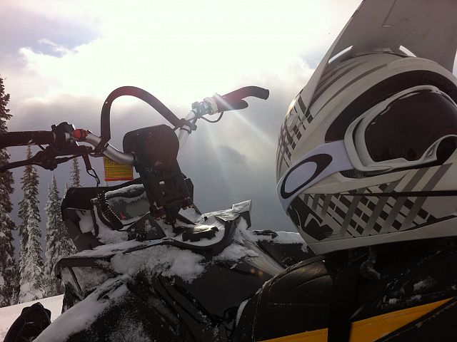 Using my photogenic side !