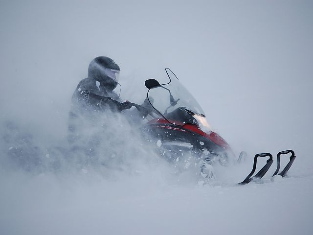 Le-Roy's sled likes the snow.