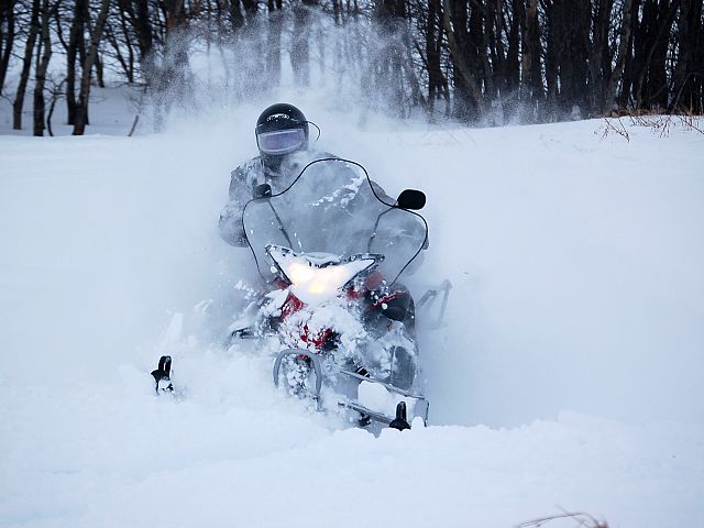 Le-Roy also likes the snow.