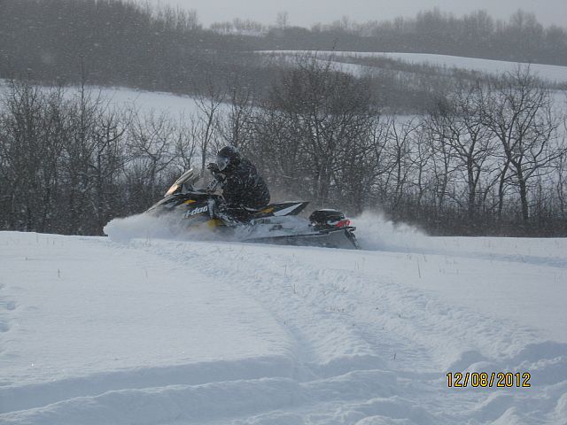 This is better than Christmas shopping!