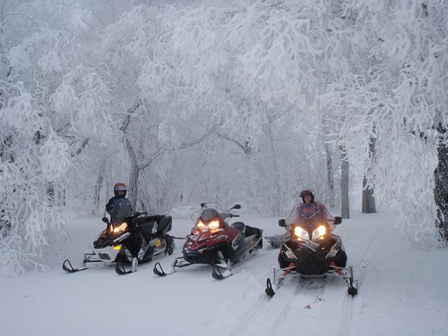 Sleds & winter wonder Land