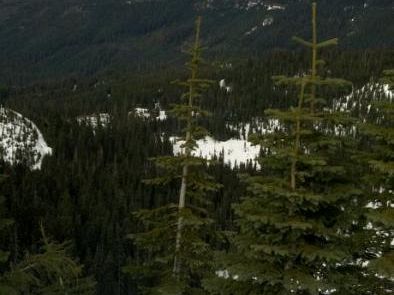 nothing better looking