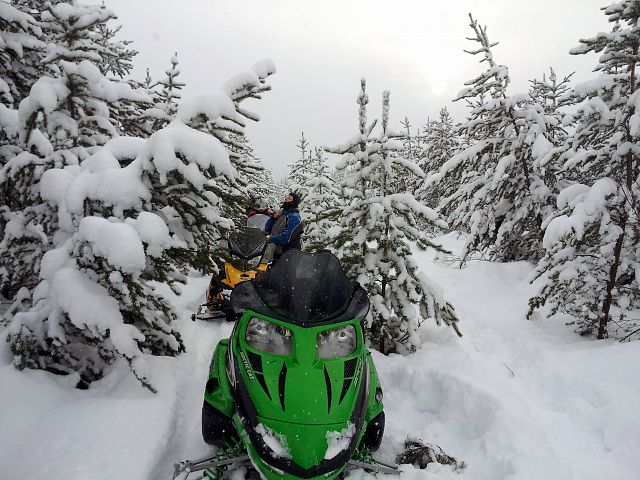 Seldom used trail in the boreal forest North of Weyakwin Lake , Sask