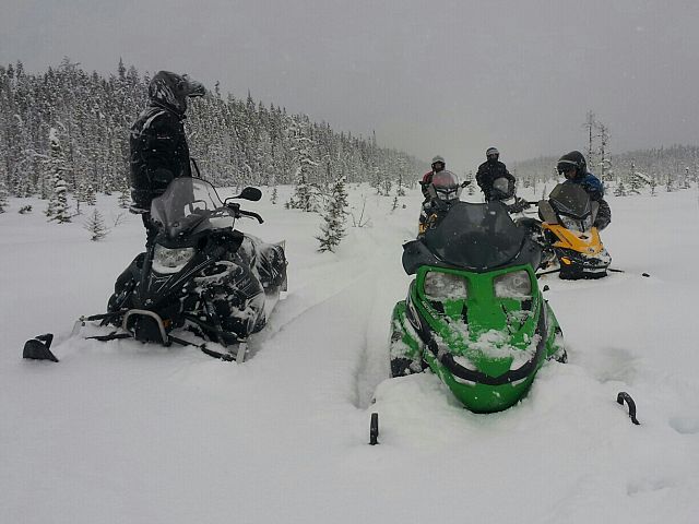 Another photo in the boreal forest in Northern Sask.North of Weyakwin Lake