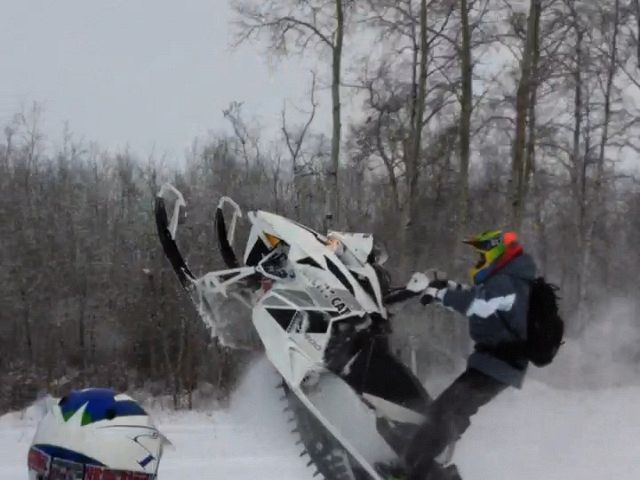 Cat walking in some deep Saskatchewan powder!