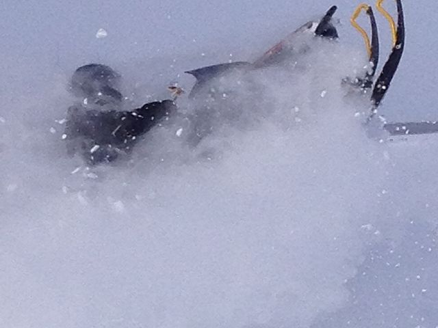 launching out of the weeds