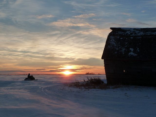 Sledding off into the Manitoba sunset!