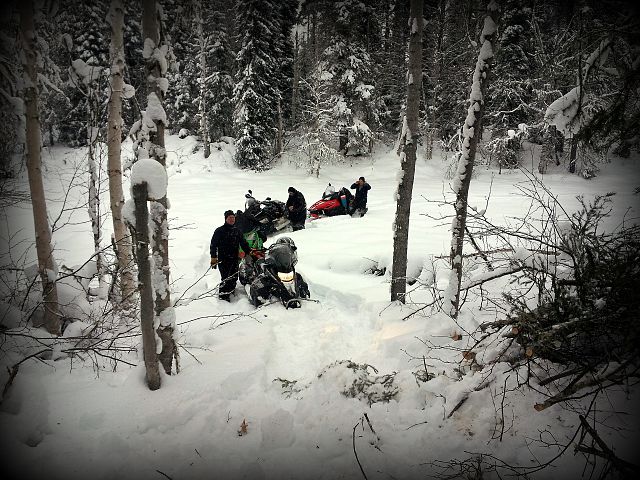 Clearing a trail through the "Lily of the Valley" on one of the Ramsey Bay trails near Weyakwin Lake