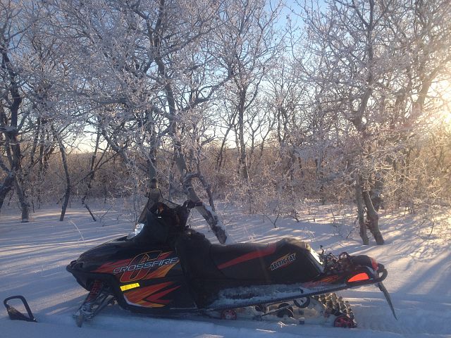 Fresh snow and beautiful frost