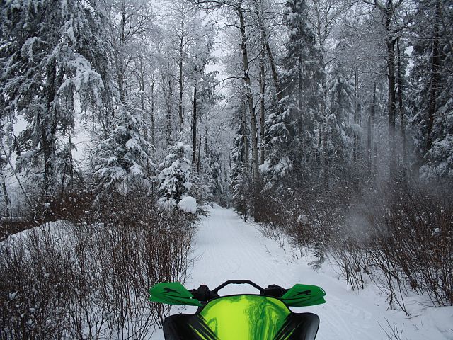 went on a trip with the family and friends definitely going back...