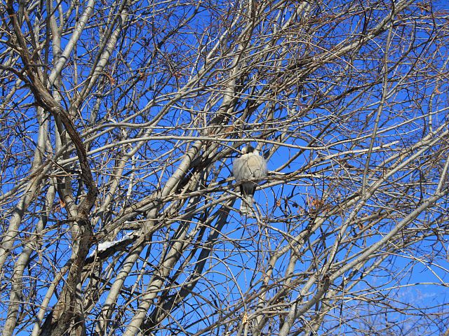 Went to stop for lunch at the Weekes Hotel and this girl was singing away...