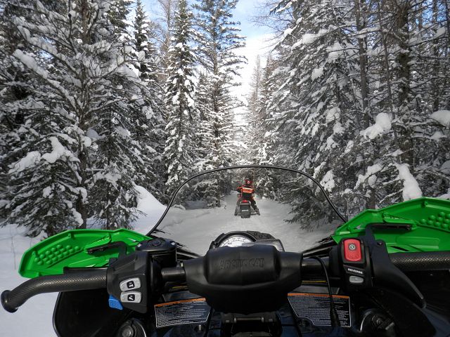 Trails in moosehorn area