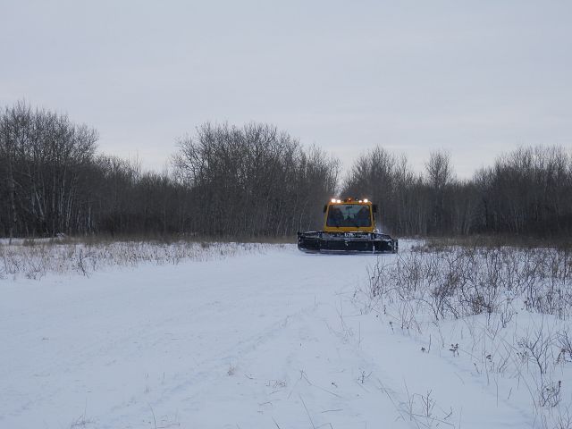 Northern lites groomer