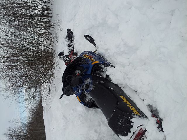 Just out enjoying the day