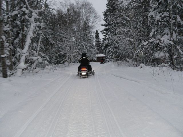 Scenic trail near Candle Lake SK