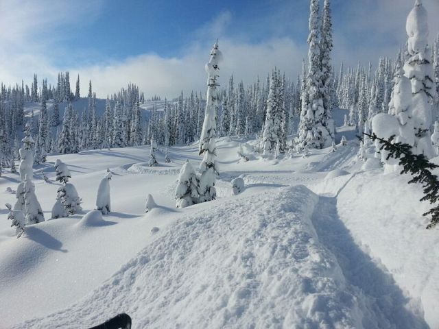 Fresh line after 2 day dump