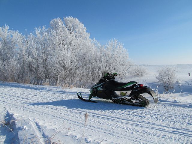Frosty morning on meridian trail
