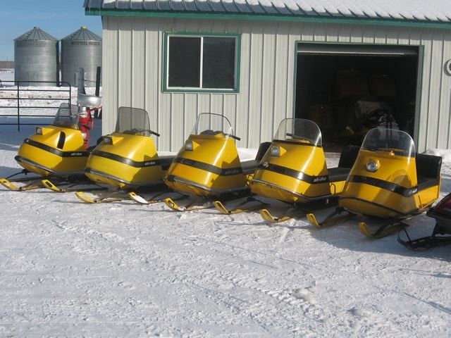 The Black Stripe Collection!