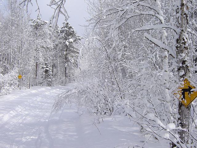Out enjoying the trails after a heavy snowfall.  We had rode out to the lodge in the rain/sleet the day before and were soaked to the bone.  We ended up staying the night, and this was the site the next morning.