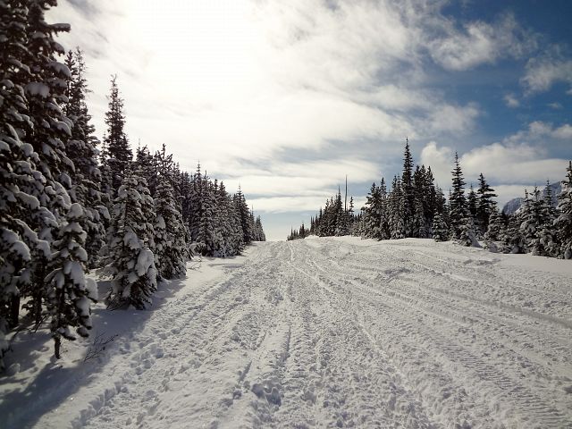 Another great trail shot in Crowsnest.
