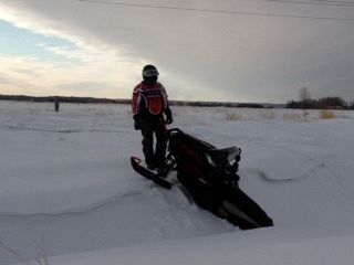 Pondering how to get out!