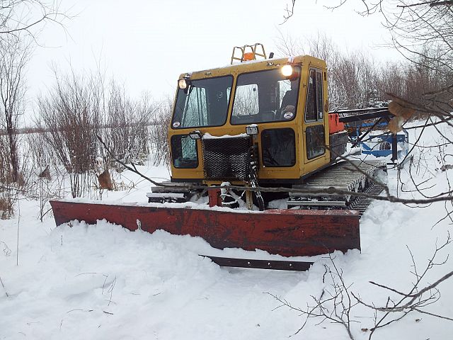 Our original groomer still working
It is older than majority of our members