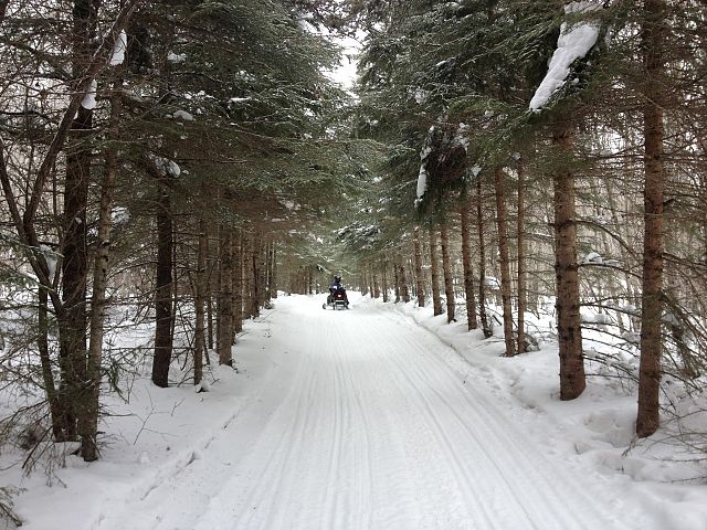 Are you coming yet?  My husband waiting for me to catch up but I had other things in mind, like getting this photo opportunity!  I'm glad I waited!!!