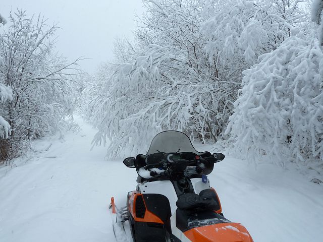 At Stefanuik Trail's I-doo hut. We awoke to a perfect morning. The snow fell heavy through the nigh and it was our day off. Away we sped on our sleds.