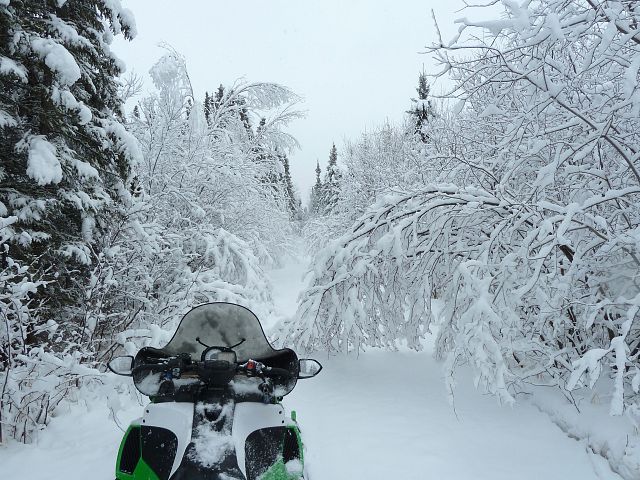 At Stefanuik Trail's I-doo hut. After several miles of shaking branches to be able to pass, we tired and decided to find somewhere more open to ride.