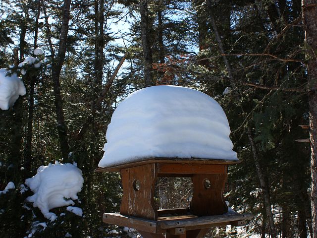 Quite the accumulation of snow this season.