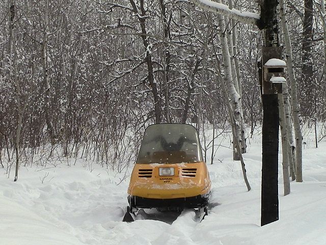 She sits in peace...sleeping with the flakes......for now!
