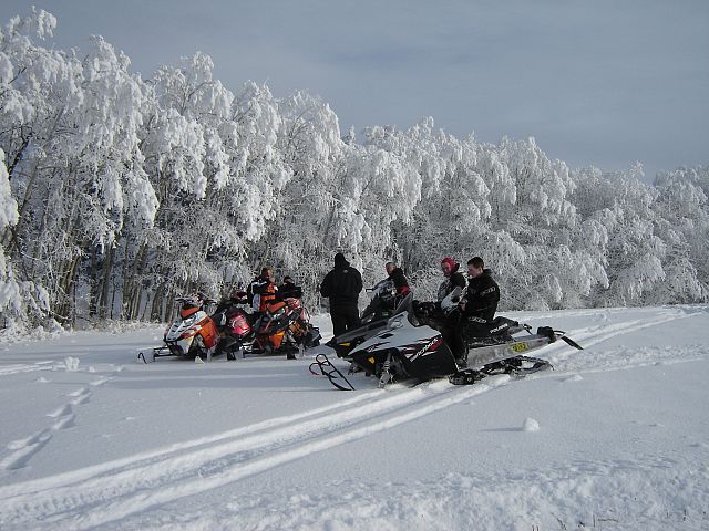 Great way to bring in the New Year