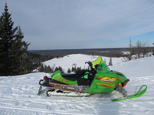 On trail in Spruce Woods