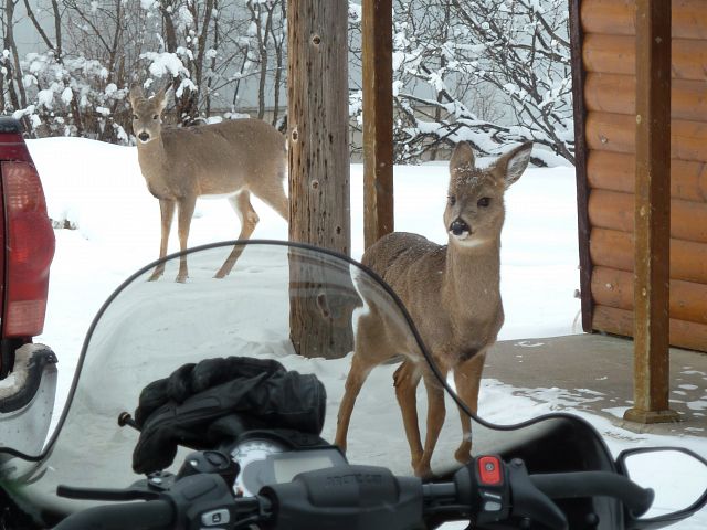 Hoping someone comes out with a treat.