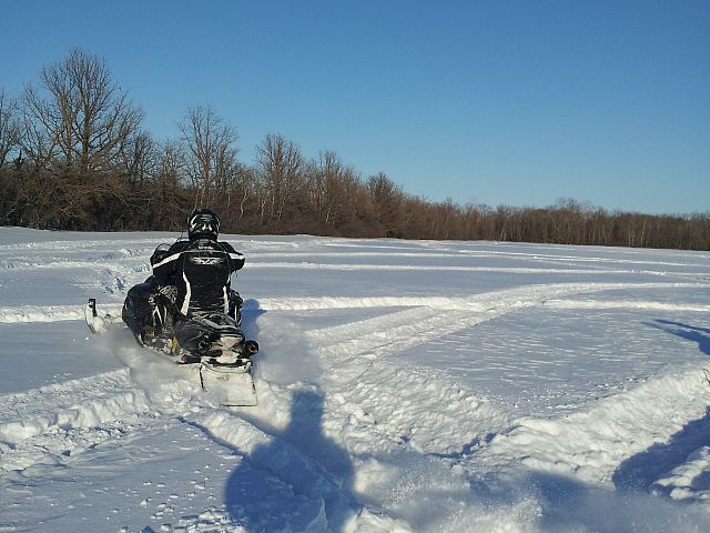 Look at the snow!  ya hoo!