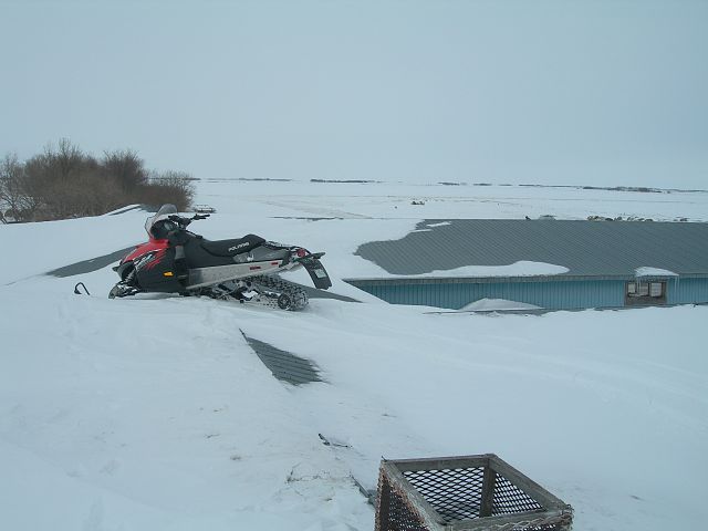 Snow has blown in around my oid hog barn. I can drive up one side and down the other.