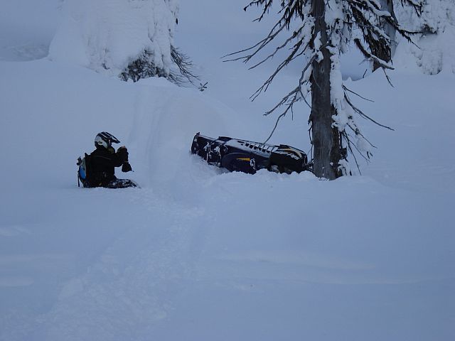My good friend Scott saying, Hello! to a tree!