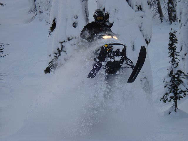 A little "Catwalk" action. 