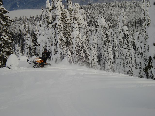 Cruising the hill side! 