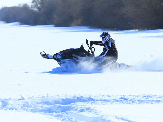 enjoying the fresh snow