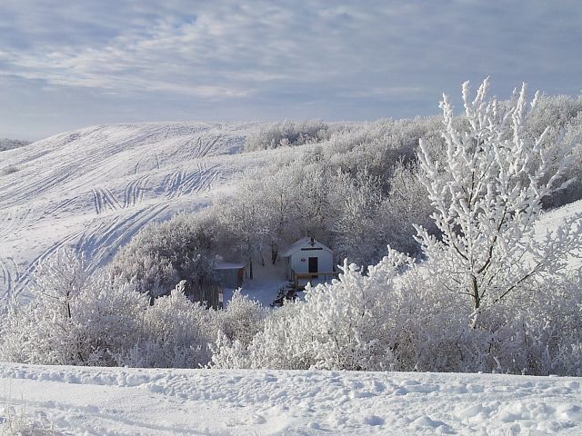 Beautiful day near Lipton Sask.