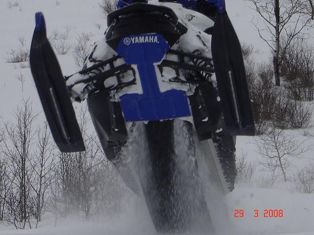 It only took 5 tries to get this shot! Good thing the boys are always willing to perform for the camera.