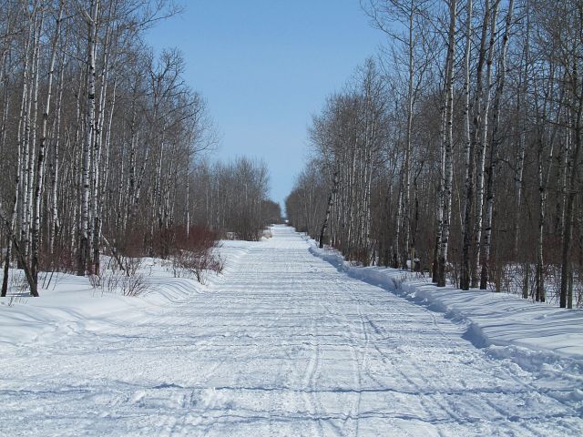 Trails still in great shape