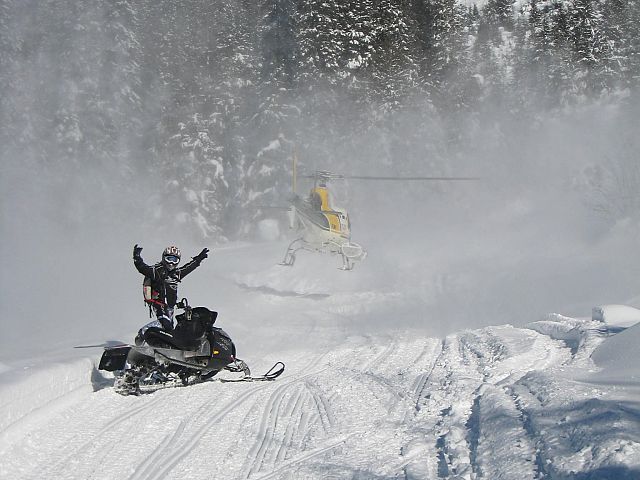 Race you to the top!