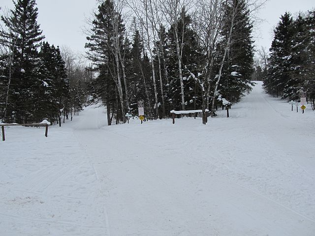Trails in the park
