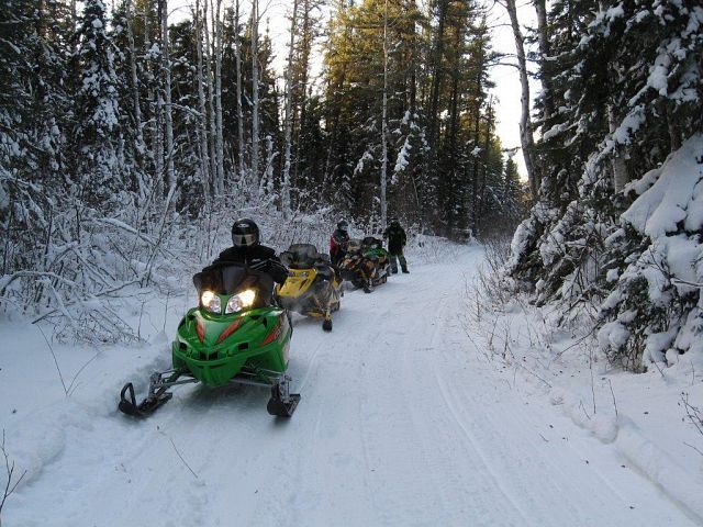 downed tree holding us up