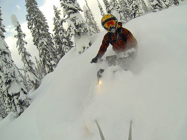 Tree danglin' in the deep pow!