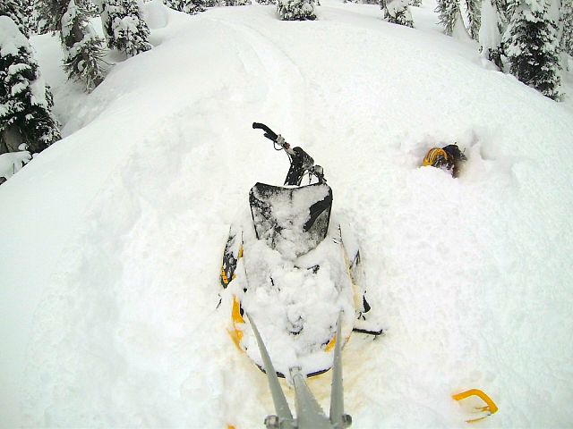 Stuck in the deep, might as well back flip into it! 6