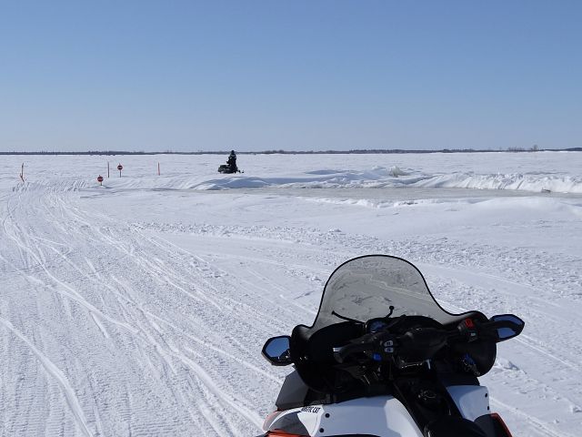 I can understand why the Groomer turned around here!