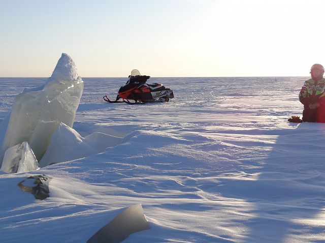 Waiting patiently for me to get my pics.